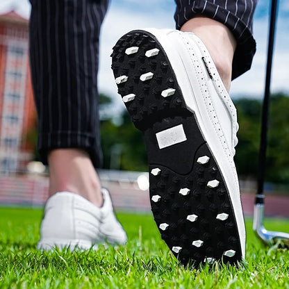 Brogue Dry Shoes